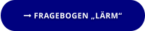  FRAGEBOGEN „LÄRM“